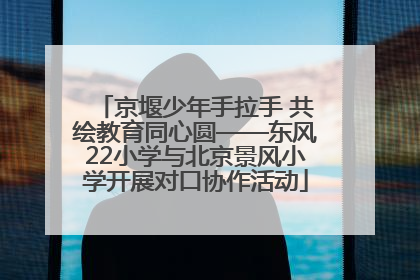 京堰少年手拉手 共绘教育同心圆——东风22小学与北京景风小学开展对口协作活动