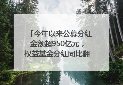 今年以来公募分红金额超950亿元，权益基金分红同比翻倍｜招财猫