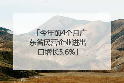 今年前4个月广东省民营企业进出口增长5.6%
