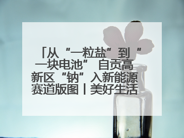 从“一粒盐”到“一块电池” 自贡高新区“钠”入新能源赛道版图丨美好生活有“盐”味