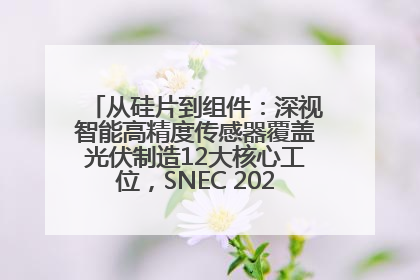 从硅片到组件：深视智能高精度传感器覆盖光伏制造12大核心工位，SNEC 2025诚邀见证