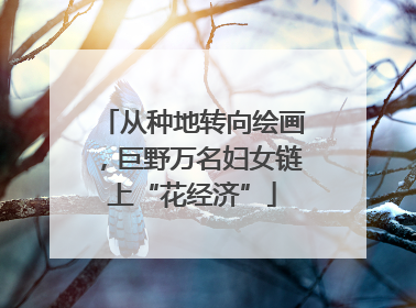 从种地转向绘画，巨野万名妇女链上“花经济”