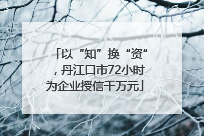 以“知”换“资”，丹江口市72小时为企业授信千万元