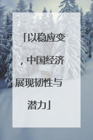 以稳应变，中国经济展现韧性与潜力
