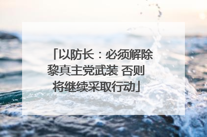 以防长：必须解除黎真主党武装 否则将继续采取行动