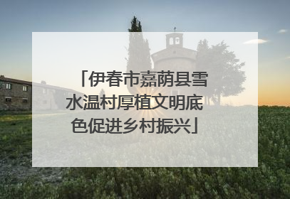 伊春市嘉荫县雪水温村厚植文明底色促进乡村振兴