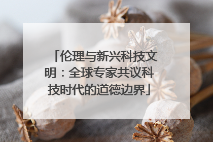 伦理与新兴科技文明：全球专家共议科技时代的道德边界