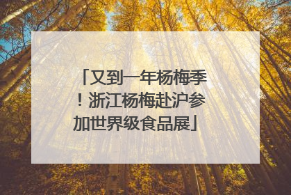 又到一年杨梅季！浙江杨梅赴沪参加世界级食品展