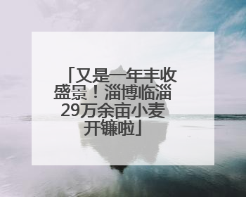又是一年丰收盛景！淄博临淄29万余亩小麦开镰啦