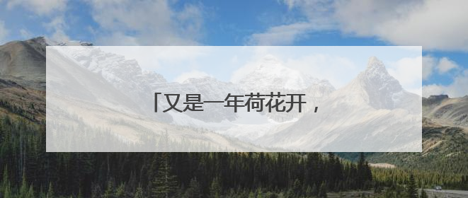 又是一年荷花开，微山湖有了新玩法