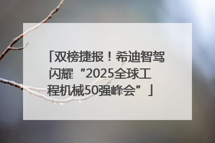 双榜捷报！希迪智驾闪耀“2025全球工程机械50强峰会”