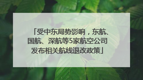 受中东局势影响，东航、国航、深航等5家航空公司发布相关航线退改政策