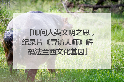 叩问人类文明之思，纪录片《寻访大师》解码法兰西文化基因