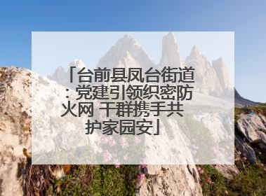 台前县凤台街道：党建引领织密防火网 干群携手共护家园安