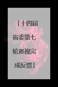 十四届省委第七轮巡视完成反馈