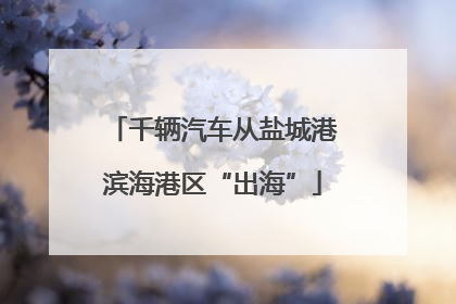 千辆汽车从盐城港滨海港区“出海”
