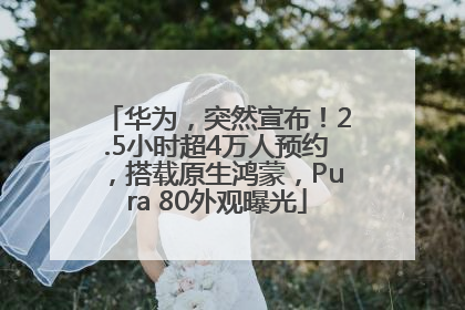 华为，突然宣布！2.5小时超4万人预约，搭载原生鸿蒙，Pura 80外观曝光