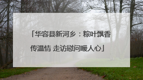 华容县新河乡：粽叶飘香传温情 走访慰问暖人心
