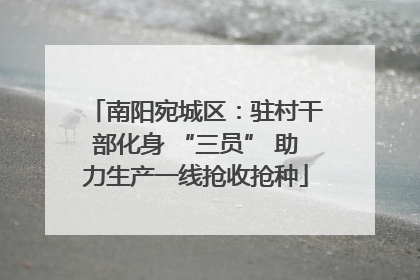 南阳宛城区：驻村干部化身 “三员” 助力生产一线抢收抢种