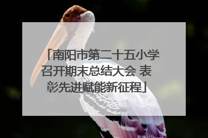 南阳市第二十五小学召开期末总结大会 表彰先进赋能新征程