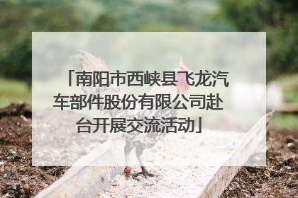 南阳市西峡县飞龙汽车部件股份有限公司赴台开展交流活动