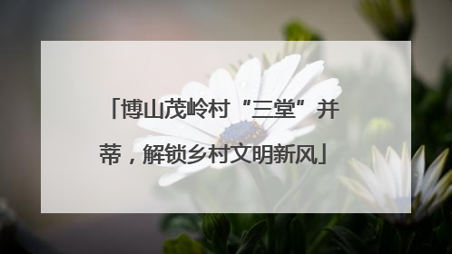 博山茂岭村“三堂”并蒂，解锁乡村文明新风