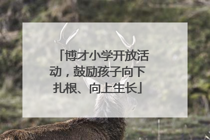 博才小学开放活动，鼓励孩子向下扎根、向上生长