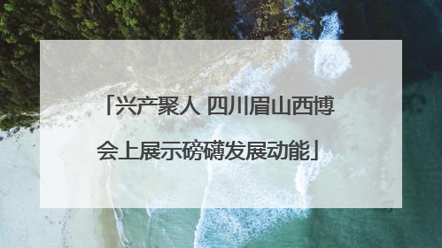 兴产聚人 四川眉山西博会上展示磅礴发展动能