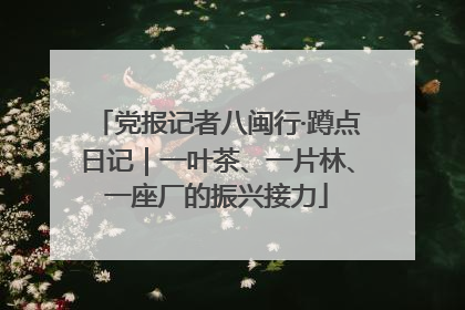 党报记者八闽行·蹲点日记｜一叶茶、一片林、一座厂的振兴接力