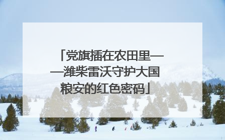 党旗插在农田里——潍柴雷沃守护大国粮安的红色密码
