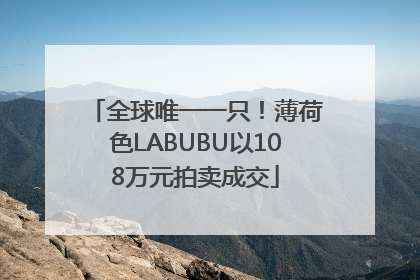 全球唯一一只！薄荷色LABUBU以108万元拍卖成交