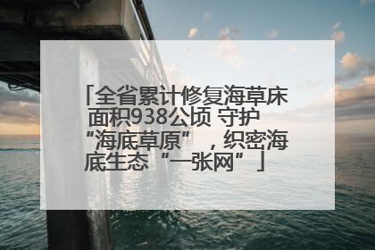 全省累计修复海草床面积938公顷 守护“海底草原”，织密海底生态“一张网”