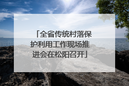 全省传统村落保护利用工作现场推进会在松阳召开