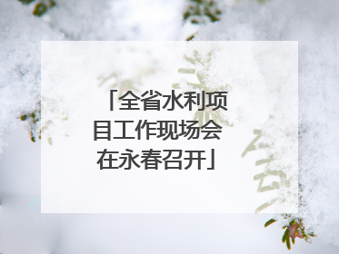 全省水利项目工作现场会在永春召开