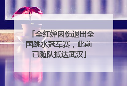 全红婵因伤退出全国跳水冠军赛，此前已随队抵达武汉