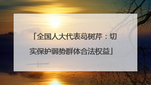 全国人大代表葛树芹：切实保护弱势群体合法权益