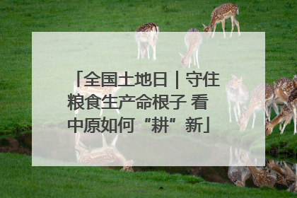 全国土地日｜守住粮食生产命根子 看中原如何“耕”新