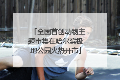 全国首创动物主题市集在哈尔滨极地公园火热开市