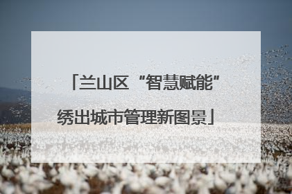兰山区“智慧赋能”绣出城市管理新图景