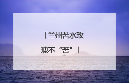 兰州苦水玫瑰不“苦”