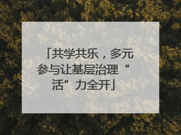 共学共乐，多元参与让基层治理“活”力全开