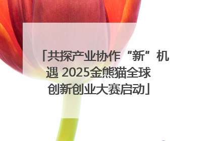 共探产业协作“新”机遇 2025金熊猫全球创新创业大赛启动