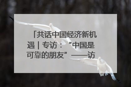 共话中国经济新机遇｜专访：“中国是可靠的朋友”——访马来西亚种植及原产业部副部长陈泓缣