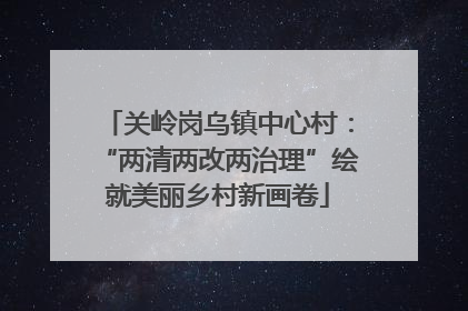 关岭岗乌镇中心村：“两清两改两治理”绘就美丽乡村新画卷
