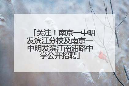 关注！南京一中明发滨江分校及南京一中明发滨江南浦路中学公开招聘