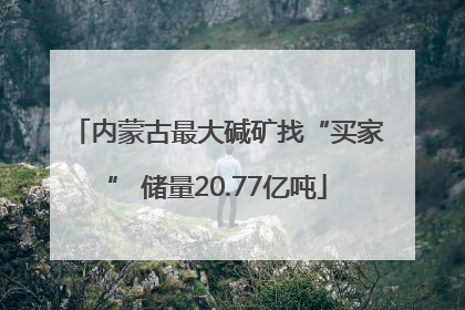 内蒙古最大碱矿找“买家” 储量20.77亿吨