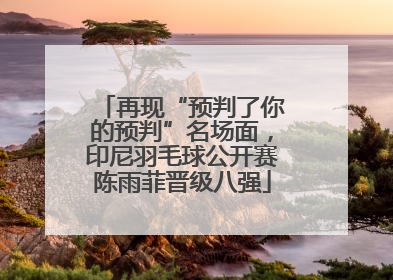 再现“预判了你的预判”名场面，印尼羽毛球公开赛陈雨菲晋级八强