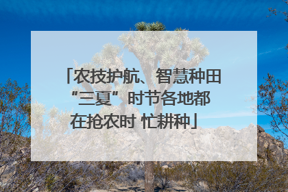 农技护航、智慧种田 “三夏”时节各地都在抢农时 忙耕种