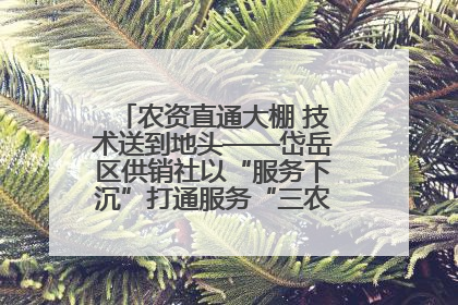 农资直通大棚 技术送到地头——岱岳区供销社以“服务下沉”打通服务“三农”最后一公里