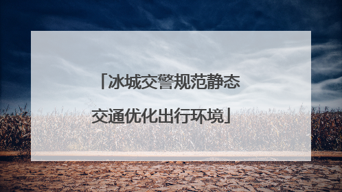 冰城交警规范静态交通优化出行环境